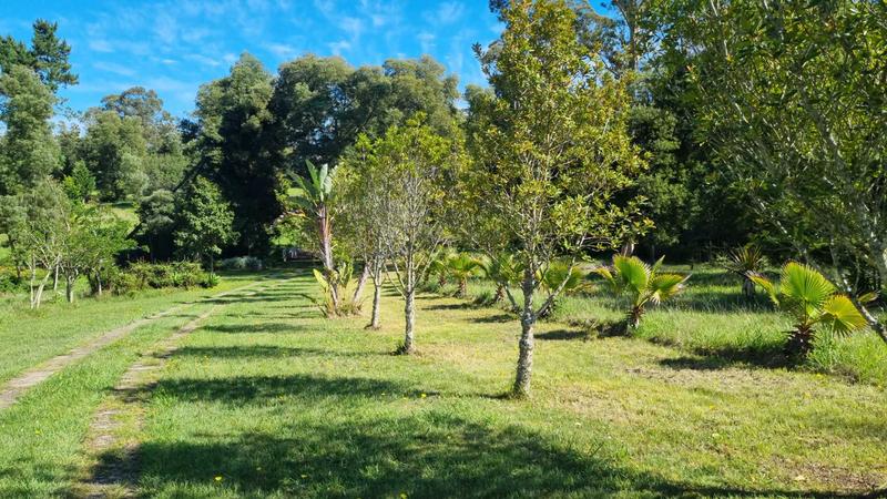 5 Bedroom Property for Sale in Rheenendal Western Cape